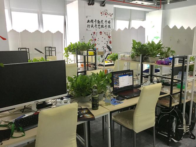 广西峰程璇网络科技