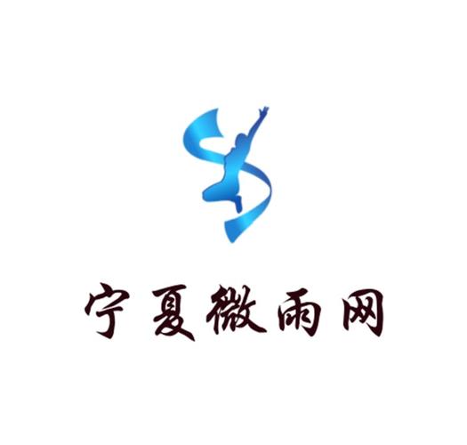 中卫市微雨网络科技工作室 小城里的数字创业样本